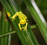 Daintree River Cruise Centre - Find Attractions