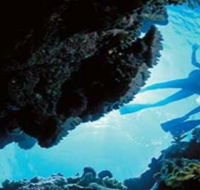 Deep Sea Divers Den - Find Attractions