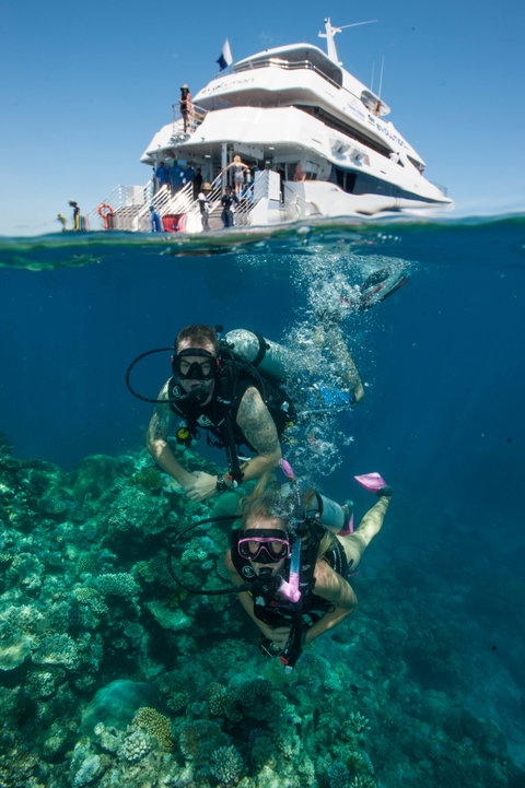 Down Under Cruise And Dive - Find Attractions 0