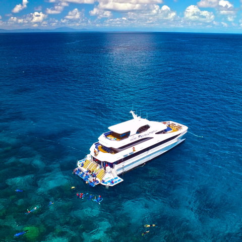 Down Under Cruise And Dive - Find Attractions 1