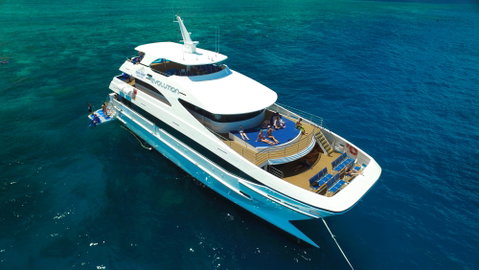Down Under Cruise And Dive - Find Attractions 2