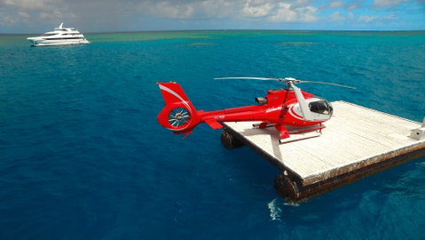 Down Under Cruise And Dive - Find Attractions 3