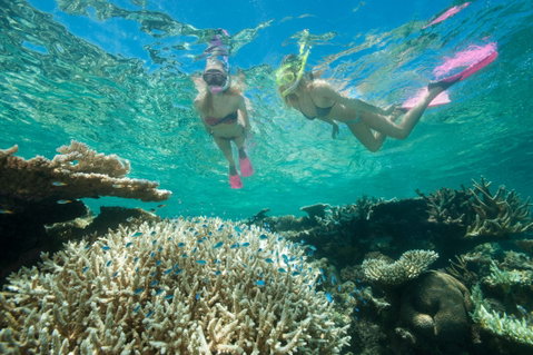 Down Under Cruise And Dive - Find Attractions 4