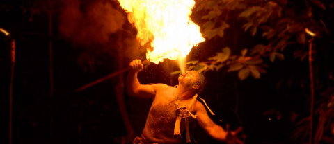 Flames Of The Forest - Find Attractions 1