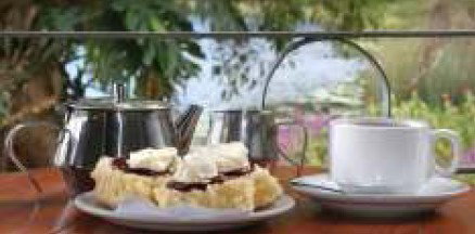 Food Trails Tours - Find Attractions 2