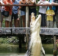 Hartley's Crocodile Adventures - Find Attractions