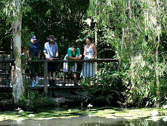 Hartley's Crocodile Adventures - Find Attractions 2