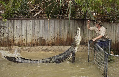 Hartley's Crocodile Adventures - Find Attractions 8