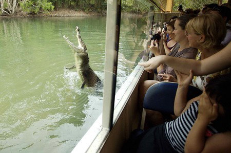 Hartley's Crocodile Adventures - Find Attractions 9