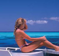 Mike Ball Dive Expeditions - Find Attractions
