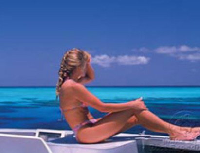 Mike Ball Dive Expeditions - Find Attractions 0