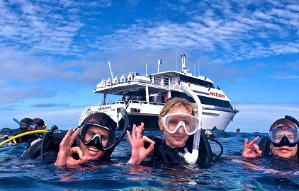 Pro Dive Cairns - Find Attractions 0