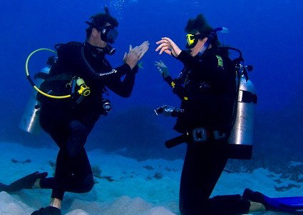 Pro Dive Cairns - Find Attractions 2