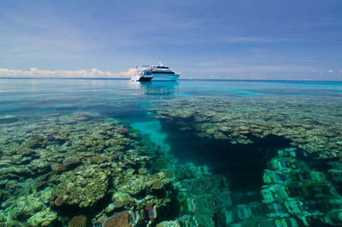 Pro Dive Cairns - Find Attractions 4