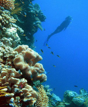 Manunda QLD Find Attractions