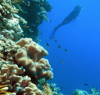 Reef Magic Cruises - Find Attractions