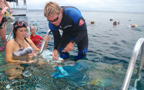 Reef Magic Cruises - Find Attractions 4