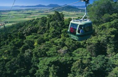 Tropic Wings Coach Tours - Find Attractions 2