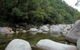 Tropical Horizons Tours - thumb 0