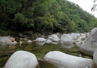 Tropical Horizons Tours - Find Attractions 0