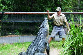 Tropical Horizons Tours - Find Attractions 4