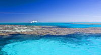 Reef Jet Cruises