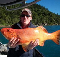 Gone Fishing by Coral Sea Fishing Charters Airlie Beach - Find Attractions