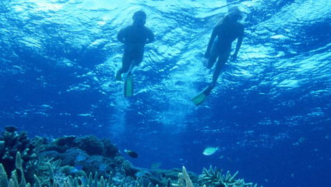 Air Whitsunday Day Tours - Find Attractions 1