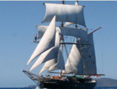 Adventure Catamarans Dive and Sail Airlie Beach