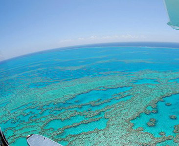Air Whitsunday Seaplanes Airlie Beach