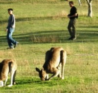 Araucaria Ecotours - Find Attractions