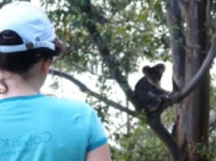 Araucaria Ecotours - Find Attractions 1