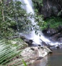Araucaria Ecotours - Find Attractions 4