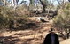 Augathella 4x4 Stock Route Trail - thumb 0