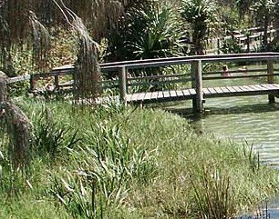 Australia Fraser Island Escape - Find Attractions 1