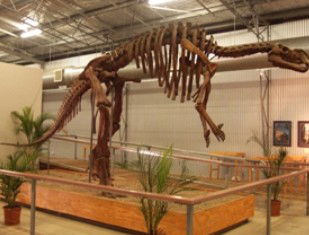 Australia's Dinosaur Trail - Find Attractions 0