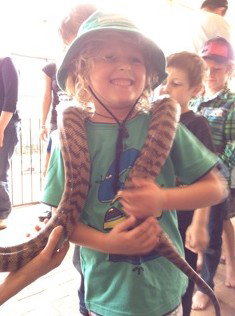 West Oz Wildlife Petting Zoos - Find Attractions 3