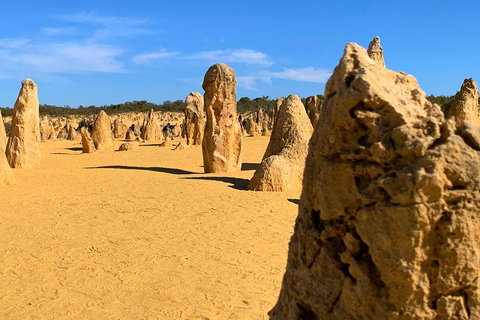 Pinnacles Desert (Private) Day Tour - Find Attractions 0