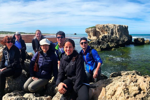 Pinnacles Desert (Private) Day Tour - Find Attractions 4