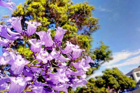 Big Perth (Private) Day Tour - Find Attractions 3