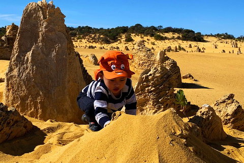 Perth Kids Explorer (Private) Day Tour - Find Attractions 3
