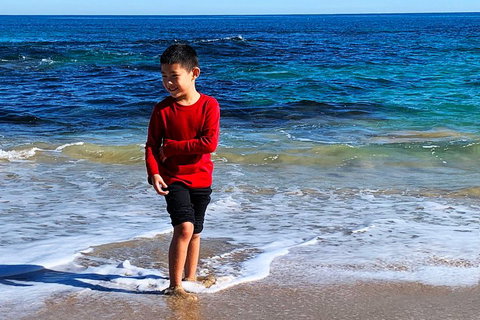 Perth Kids Explorer (Private) Day Tour - Find Attractions 4