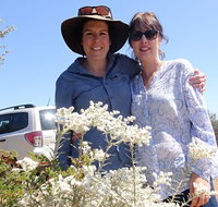 Spring Wildflower Private Day Tours - Find Attractions
