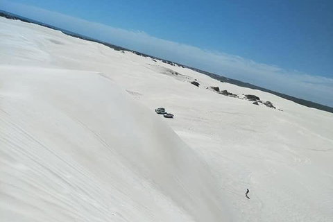 Yanchep & Lancelin - Wildlife, Cave And Sands - Find Attractions 3