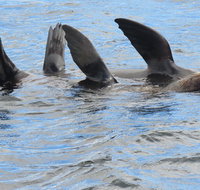 Twilight Sail Bruny Island - Find Attractions