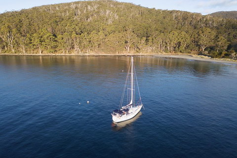 Twilight Sail Bruny Island - Find Attractions 3