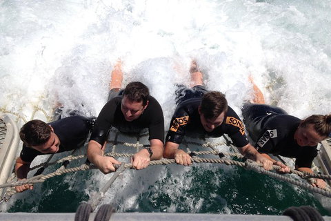 Cruise In Moreton Bay Marine Park And Moreton Island - Find Attractions 0