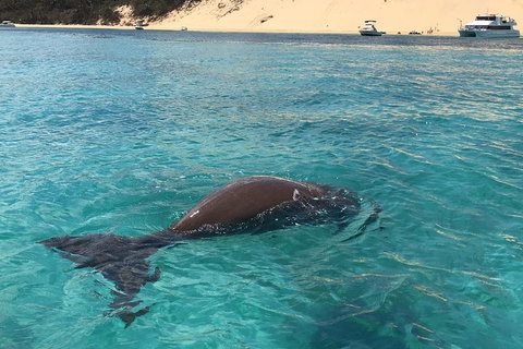 Cruise In Moreton Bay Marine Park And Moreton Island - Find Attractions 2