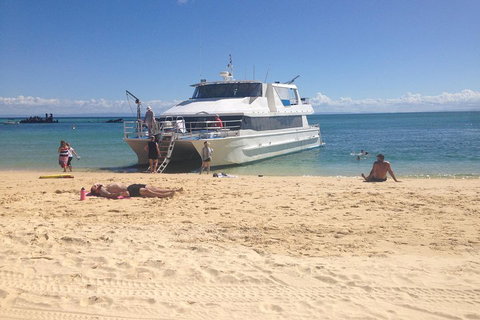 Cruise In Moreton Bay Marine Park And Moreton Island - Find Attractions 4