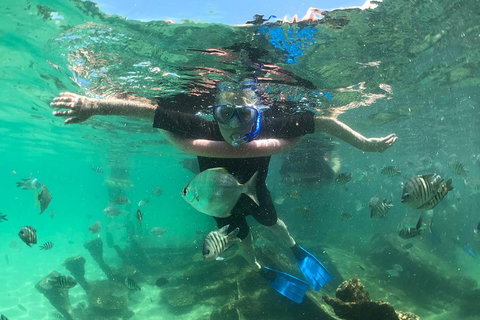 Cruise In Moreton Bay Marine Park And Moreton Island - Find Attractions 5